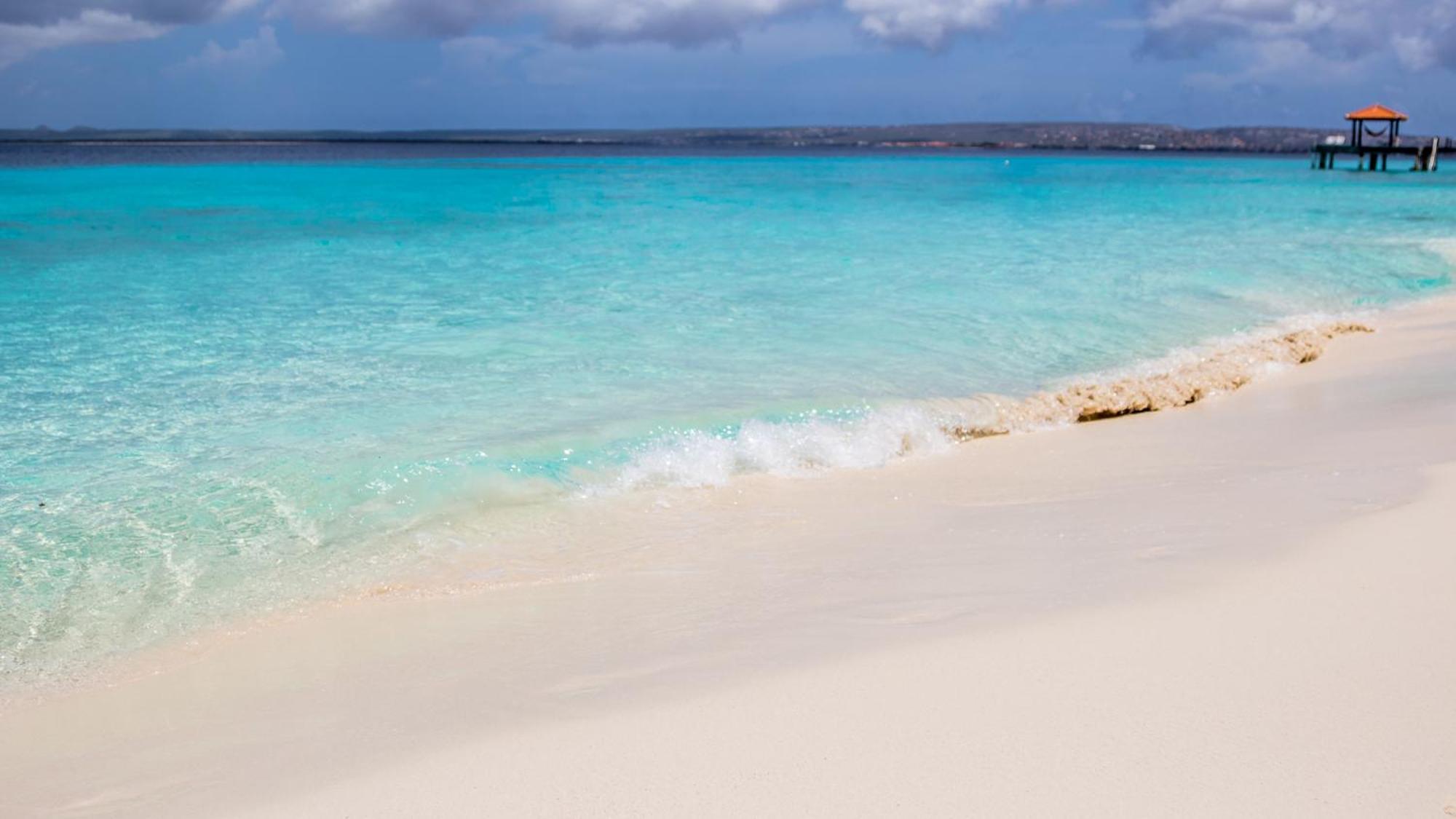 Isla Penthouse & Garden Apartments Bonaire Playa Eksteriør billede