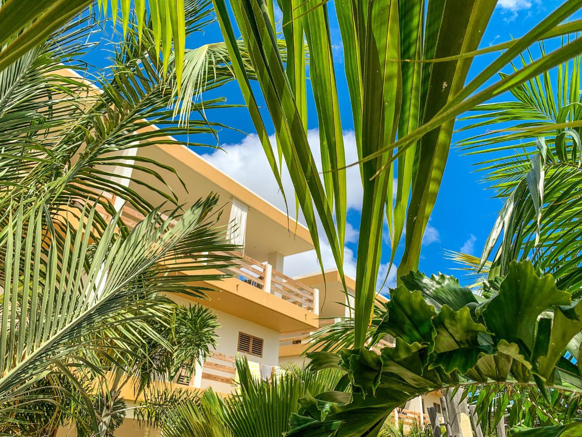 Isla Penthouse & Garden Apartments Bonaire Playa Eksteriør billede