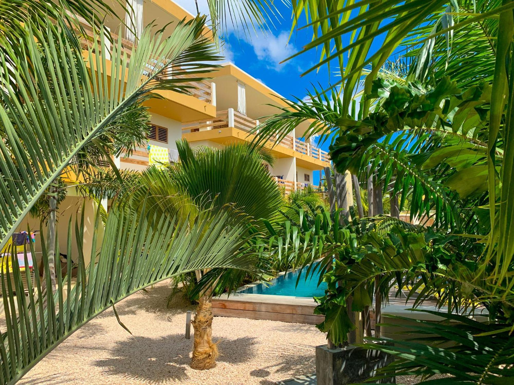 Isla Penthouse & Garden Apartments Bonaire Playa Eksteriør billede