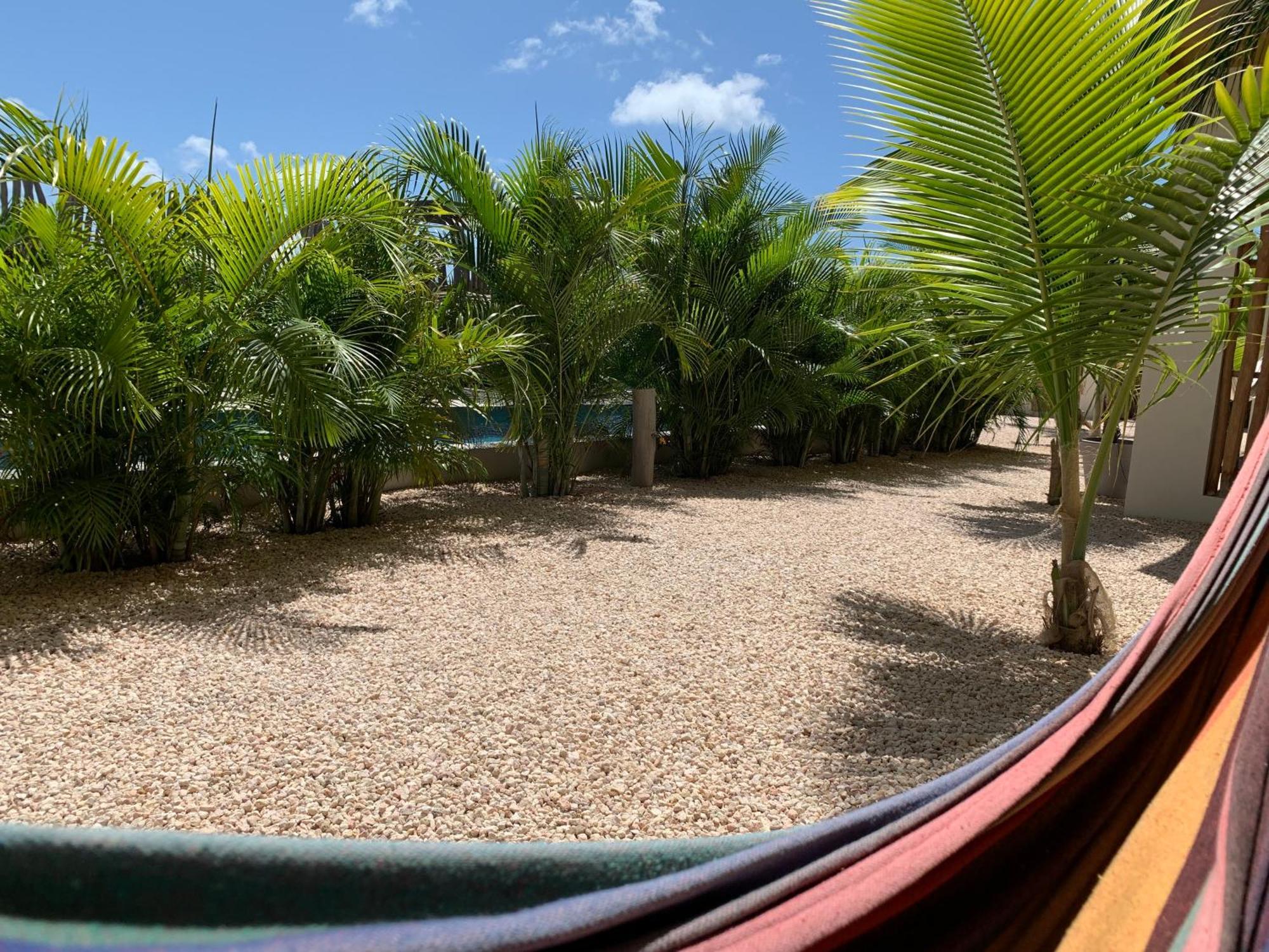 Isla Penthouse & Garden Apartments Bonaire Playa Eksteriør billede
