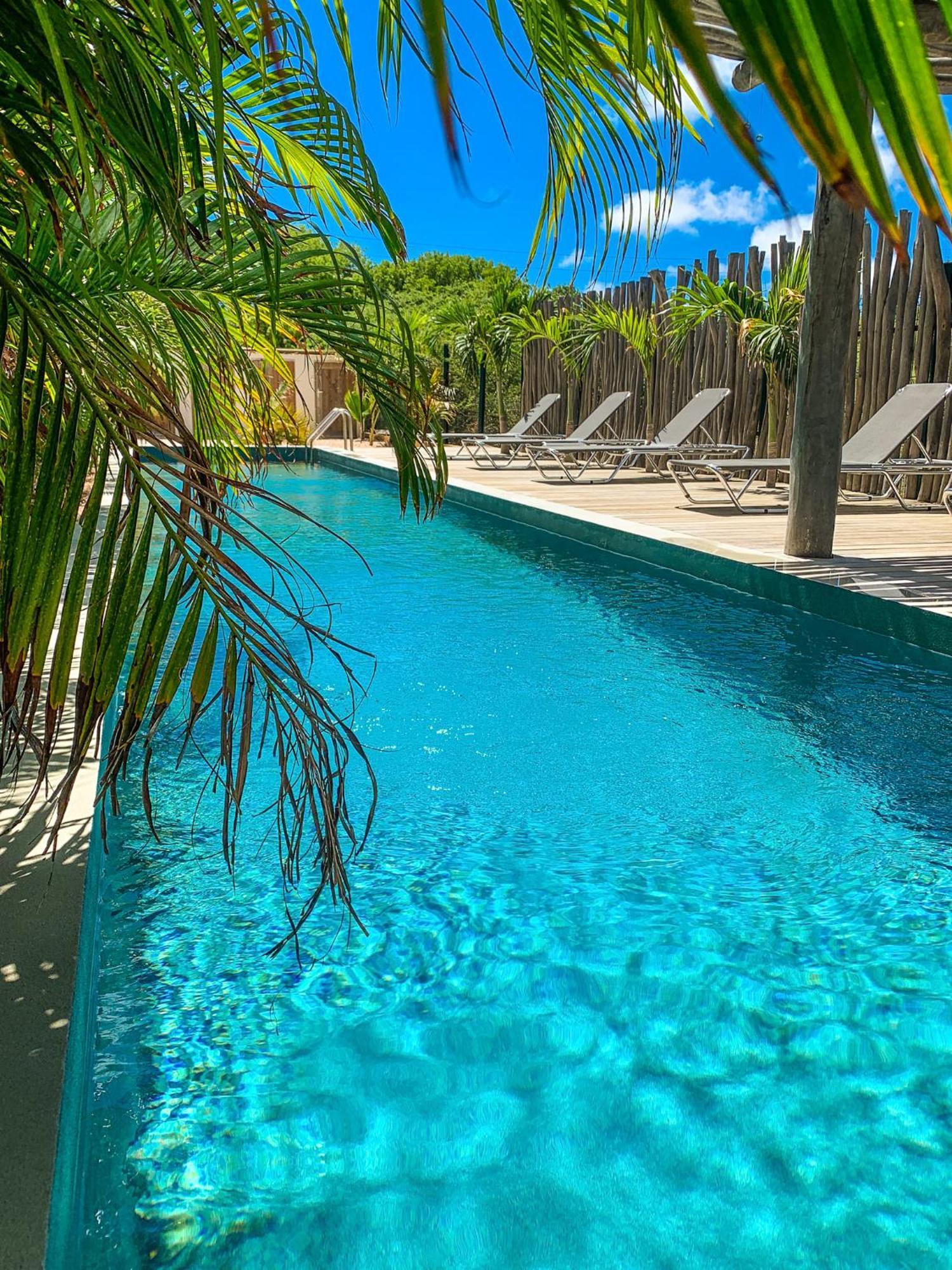 Isla Penthouse & Garden Apartments Bonaire Playa Eksteriør billede