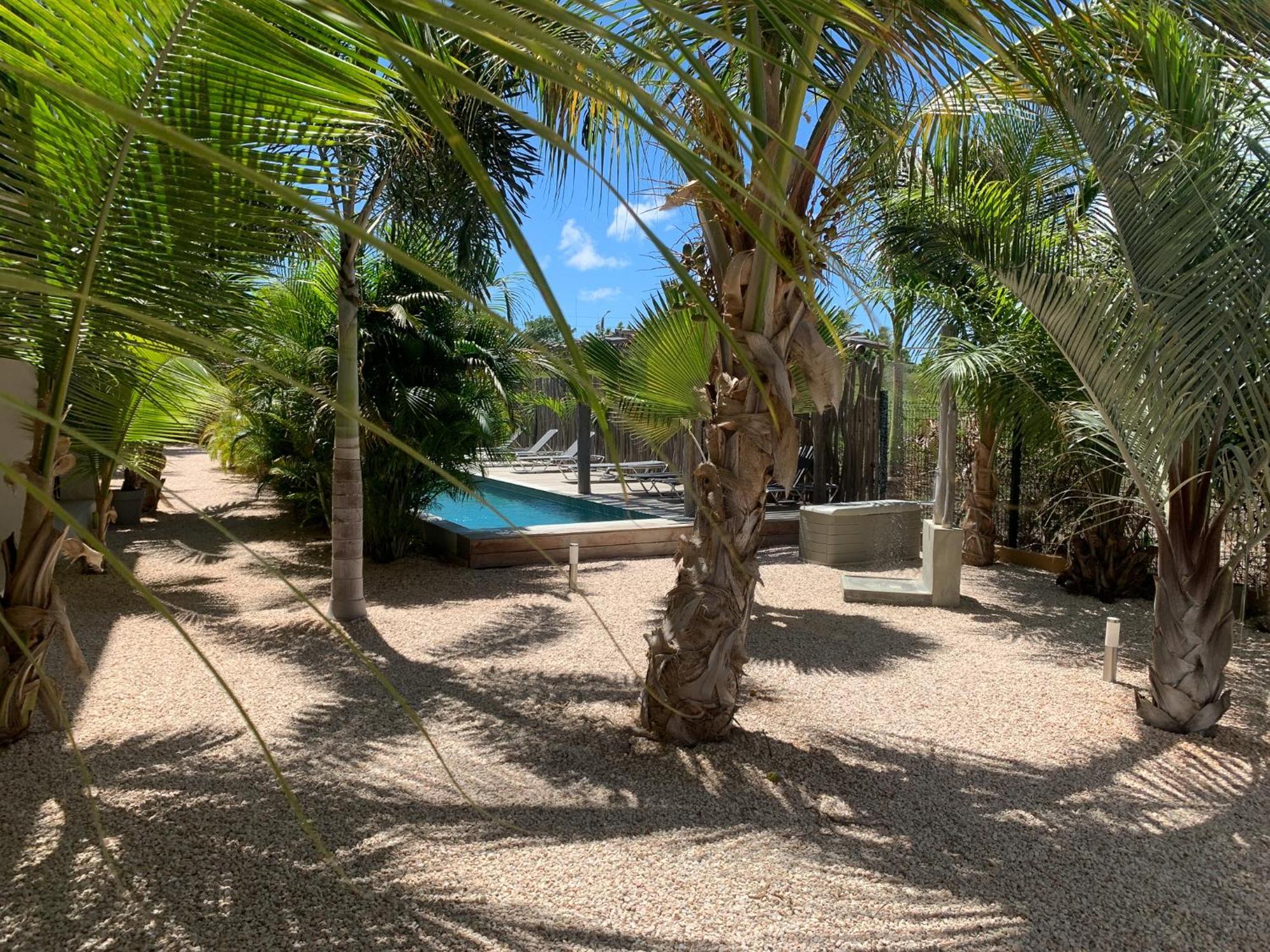 Isla Penthouse & Garden Apartments Bonaire Playa Eksteriør billede